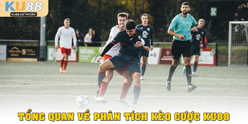 Tổng quan về phân tích kèo cược Ku88